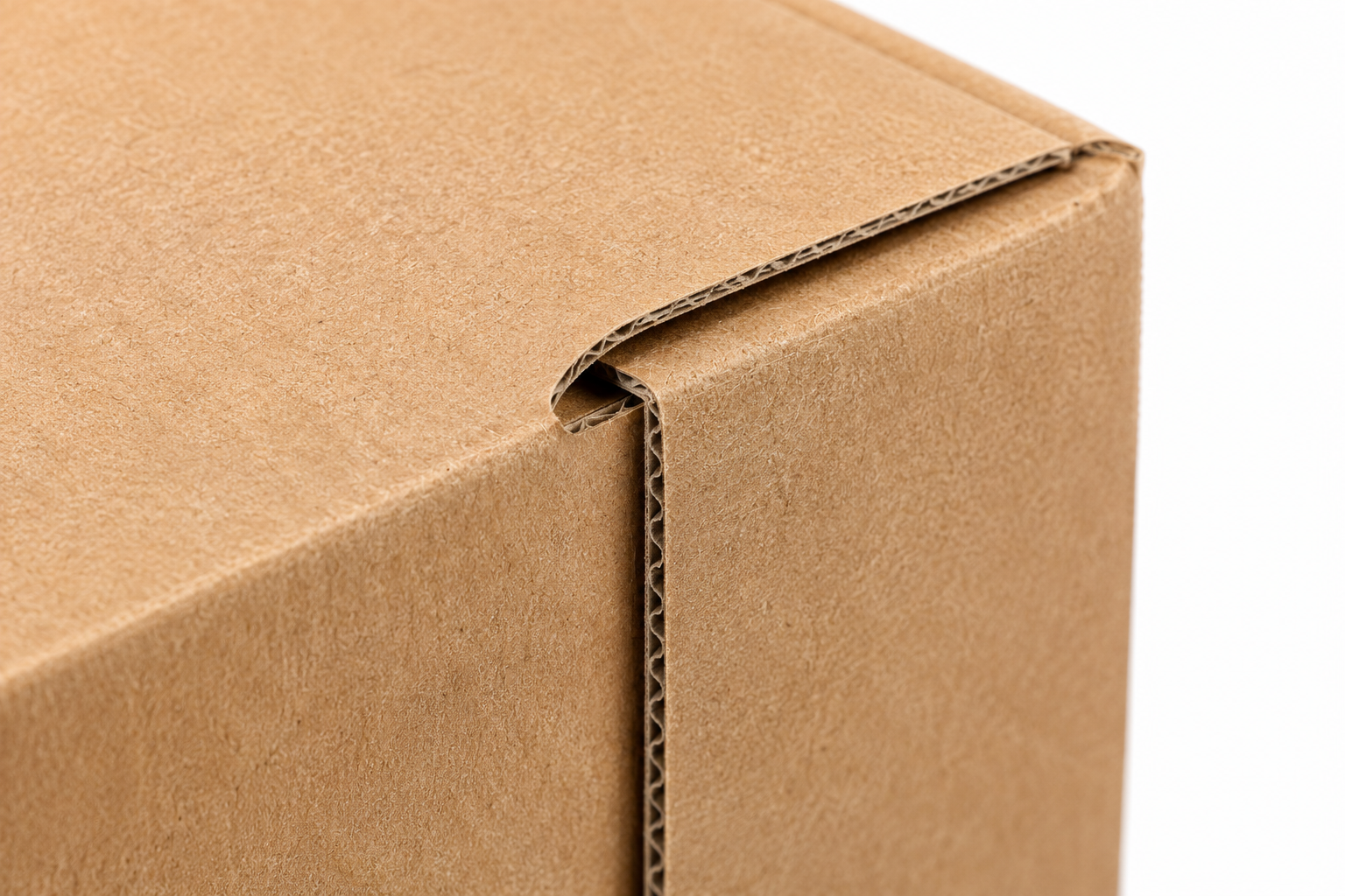 Boîte Valise Premium en Carton – Sans Logo – Image 3